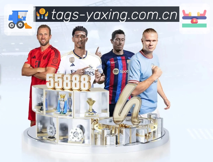 亚星官网平台展示图